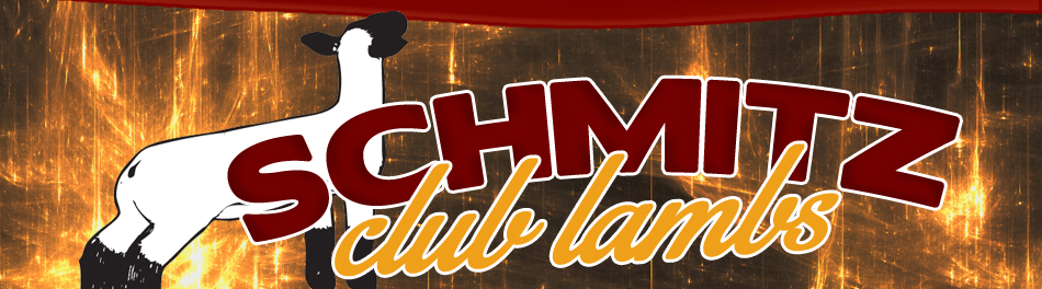 Schmitz Club Lambs