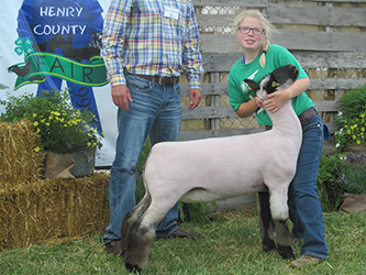 Schmitz Club Lambs Winners