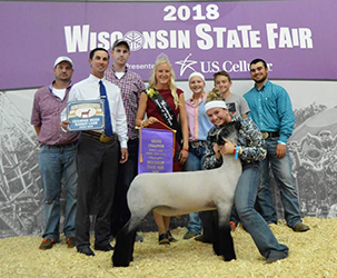 Schmitz Club Lambs Winners