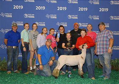 Schmitz Club Lambs Winners