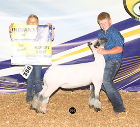 Schmitz Winners